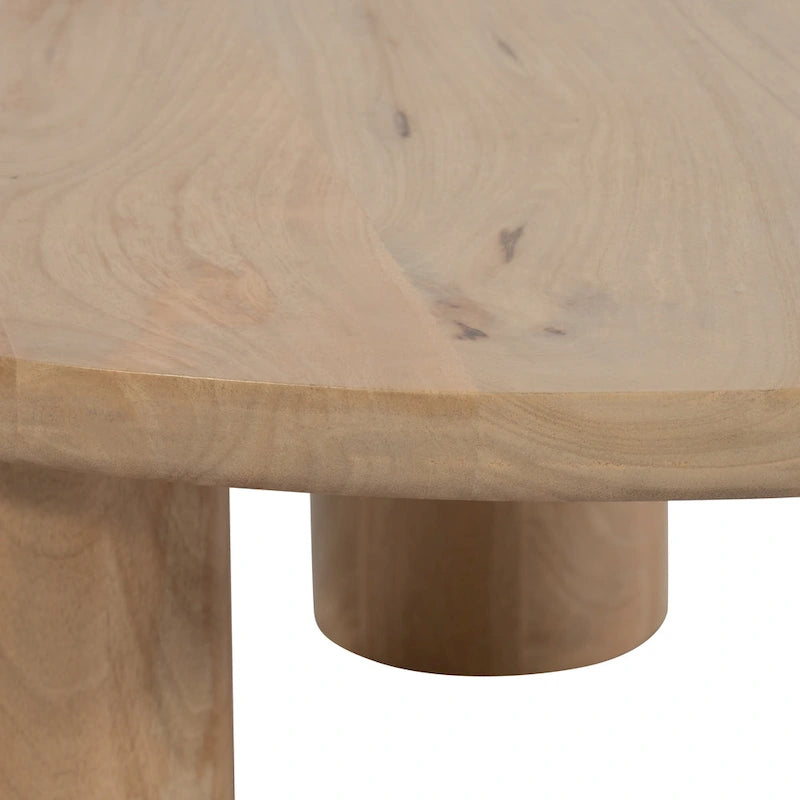 Sagebrook Home Paires de Tables Basses Élegantes en Bois de Mangue pour Intérieurs Modernes